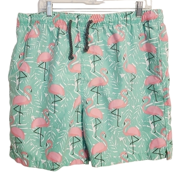 Ingear Swim | Boys' Pink and Green Flamingo Print Swimming Trunks (Size XXL) - Picture 1 of 14